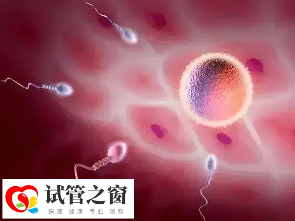 胚胎着床过程中可能会有少量出血