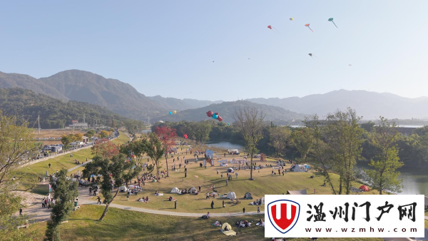 蔗里甜，筝有趣！苍南灵溪玩转“甜蜜IP”！