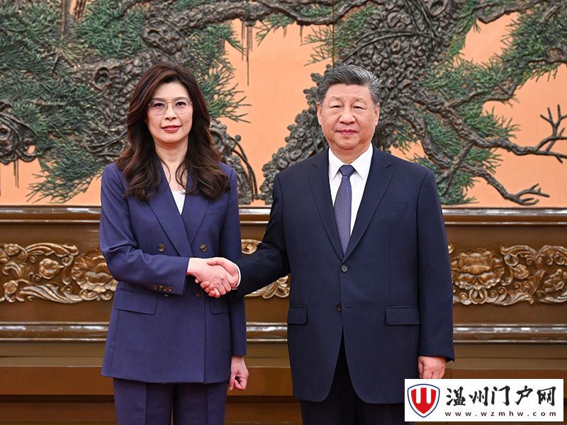 习近平总书记会见中国国民党主席郑丽文